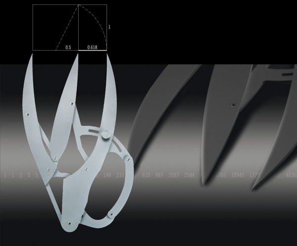 Smile Line Zirkel Golden Section